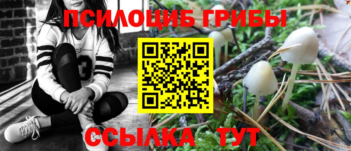 Галлюциногенные грибы мухоморы Ревда